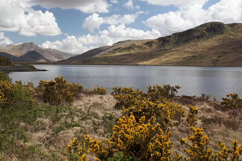 Visit County Galway and explore the spectacular Connemara National Park